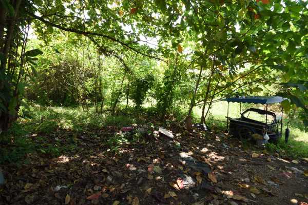 for sale - 1 Rai Land in Krabi Town near Commercial District  - Krabi Town, Krabi