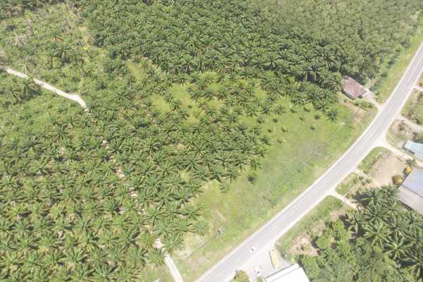 ขาย - ที่ดิน 17 ไร่ไปทางท่าเรือเฟอร์รี่เกาะลันตา - Klong Yang, Krabi