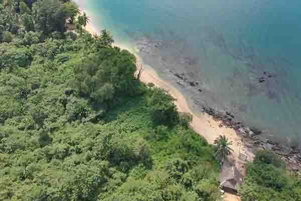 ขาย - ขายที่ดิน 30 ไร่พร้อมชายหาดวิวทะเลเนินเขาและสวนปาล์ม - Klong Muang, Krabi