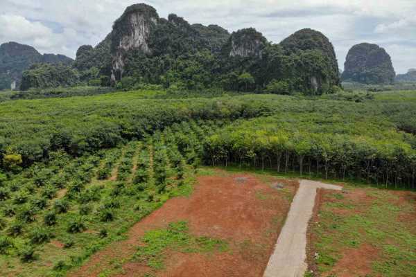 for sale - HOT - Large Land Plots for Sale in Picturesque Location - Sai Thai, Krabi