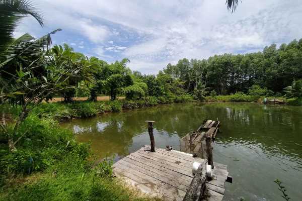 ขาย - ขาย 5 ไร่ 1 งาน ใกล้วิลล่ารีสอร์ทและท่าเรือหลัก - Ao Nammao, Krabi