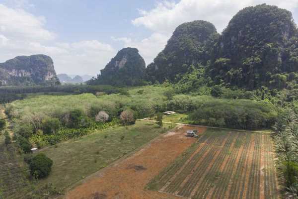 for sale - 2 Rai 1 Ngan Land for Sale in Quiet, Scenic Area - Chong Pli, Krabi