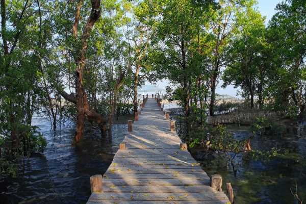 ขาย - ขายที่ดินริมทะเลพร้อมวิวและคุณสมบัติที่เป็นเอกลักษณ์ - Laem Sak, Krabi