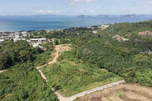for sale - Just under 7 Rai Sea-View Land for Sale in Klong Muang  - Klong Muang, Krabi