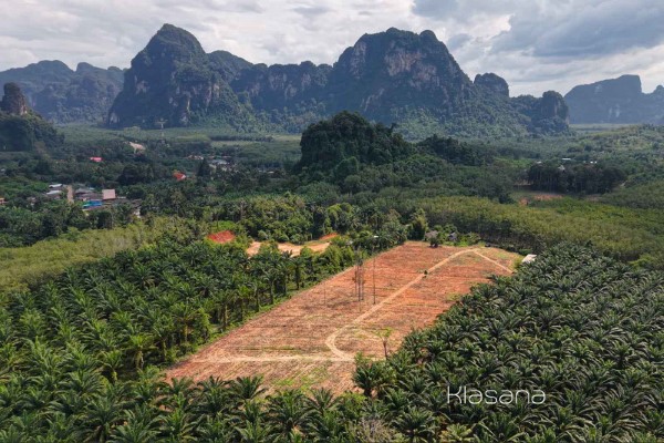 for sale - 5 Rai Chanote Hill Top Land with Great Views - Khao Thong, Krabi